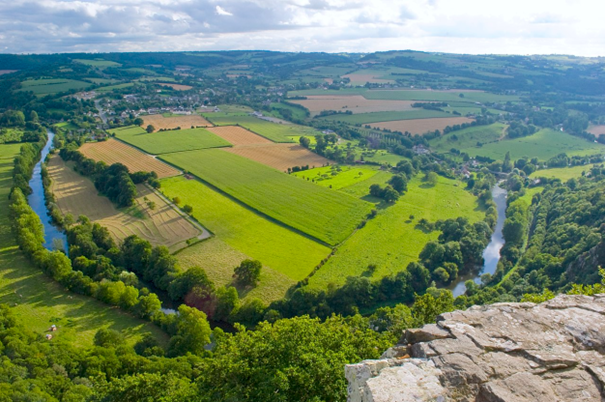 suisse-normande