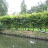 Hortillonnages d&#039;Amiens - 2 Septembre