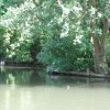 Hortillonnages d&#039;Amiens - 7 Juillet